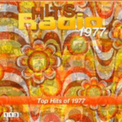 113.FM Hits - 1977