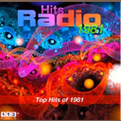 113.FM Hits 1988