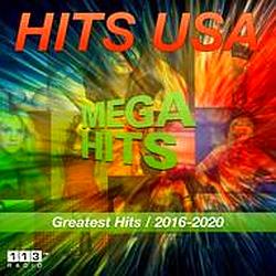 113.FM Hits USA (Top 40 / Hits)