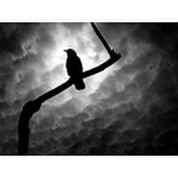 AltRockIsDead.com