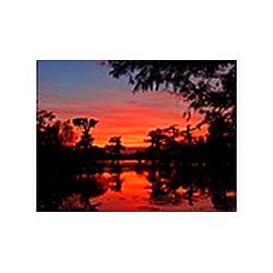 Bayou Country