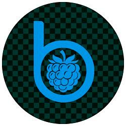 BlackBerry Acid House Radio