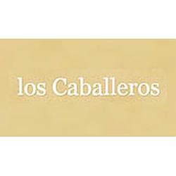 Caballeros en linea