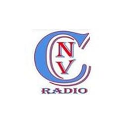 CnvR Digital Stereo