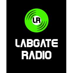 Labgate Alt Rock Grunge