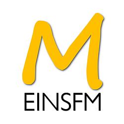 Meins FM