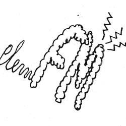 Plem FM