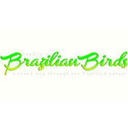 Rádio Brazilian Birds